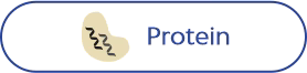Protein