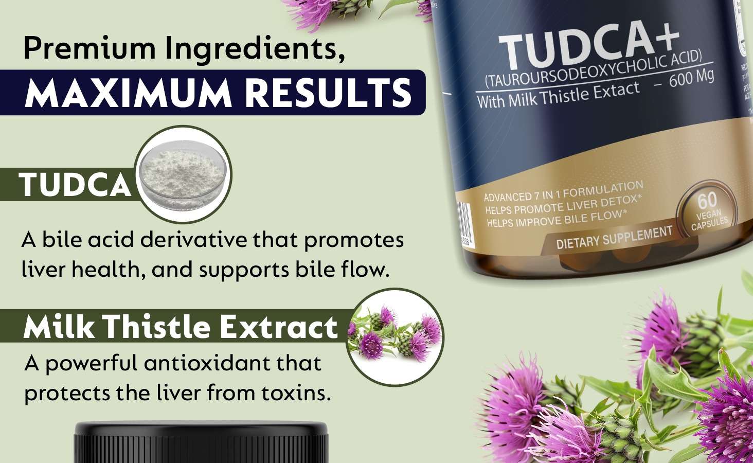 WhatsApp Image 2025-03-05 at 12.10.52 PM