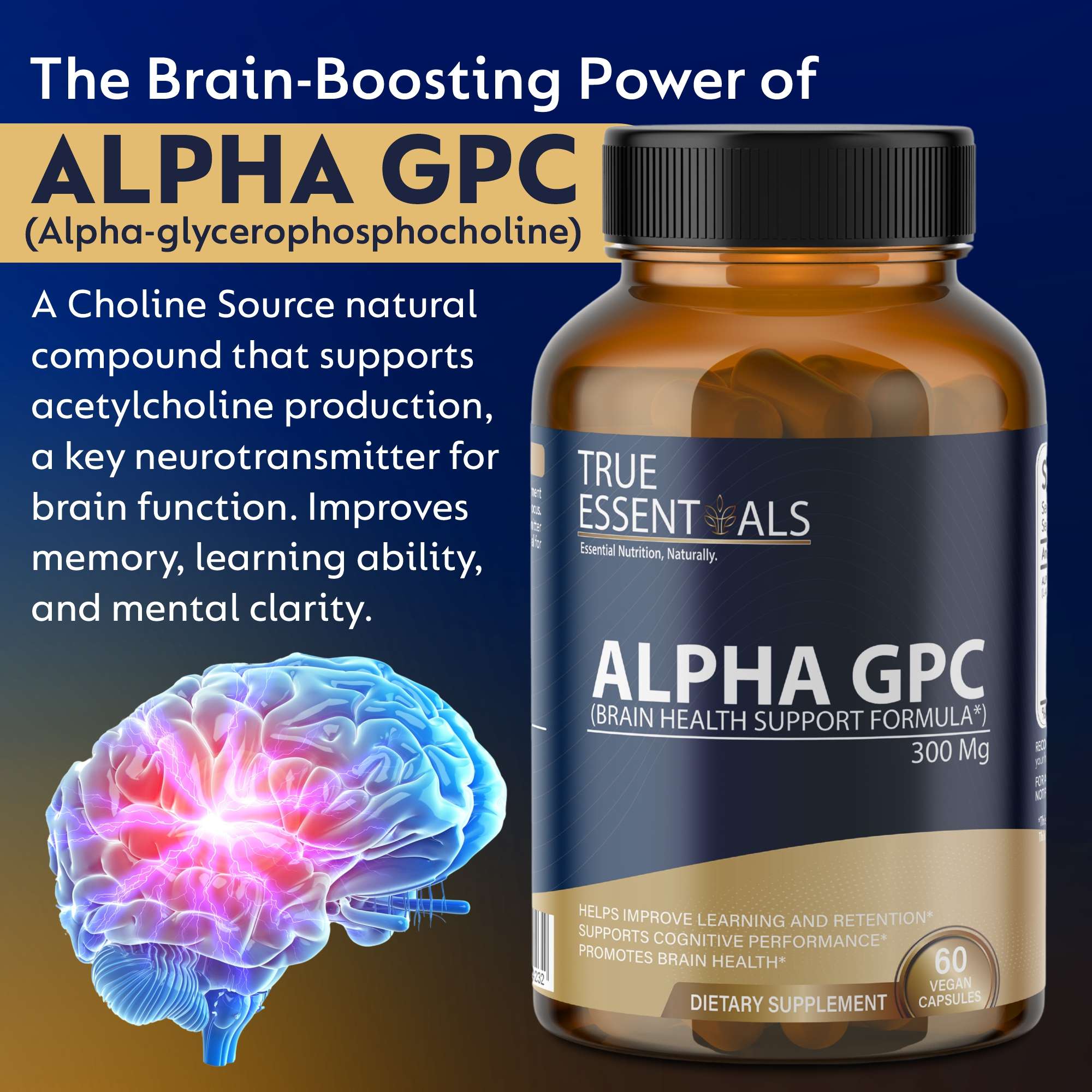 ALPHA GPC Supplement 2