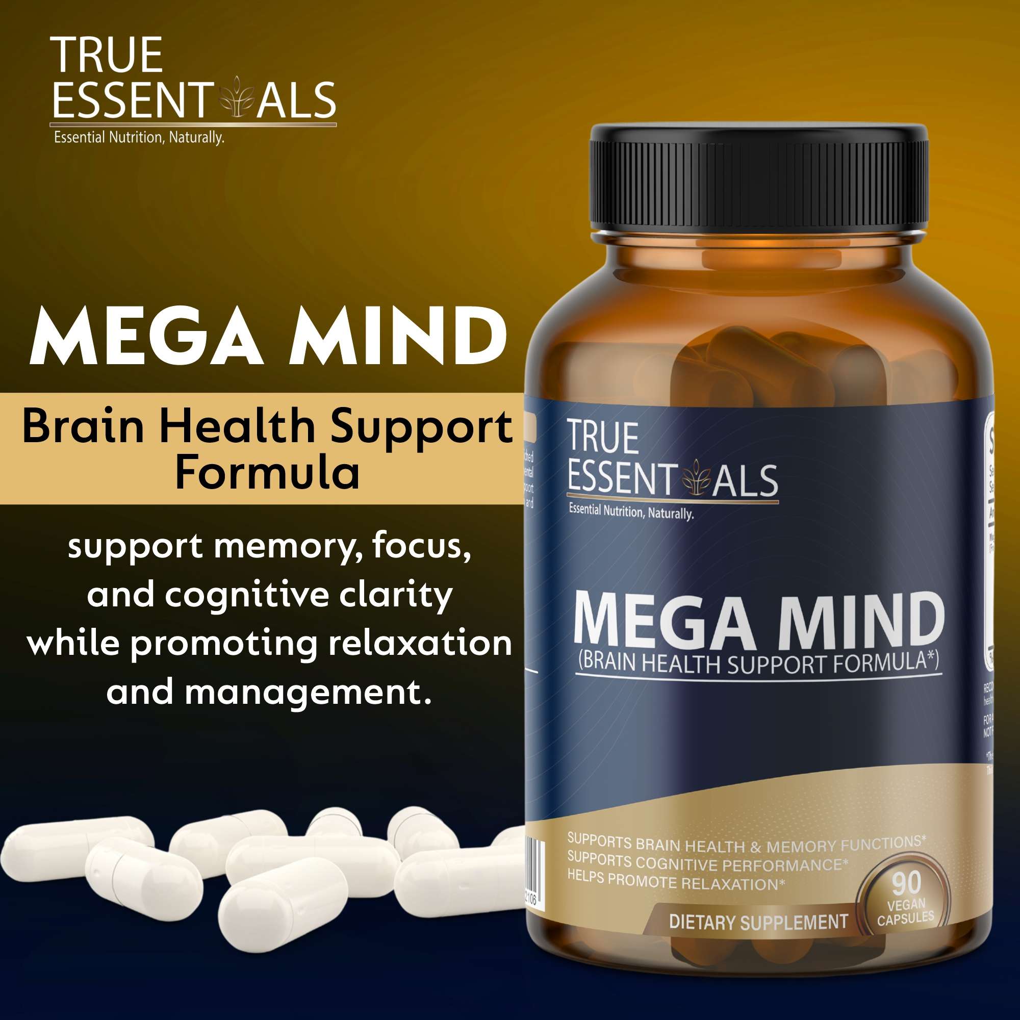 Mega Mind - 1