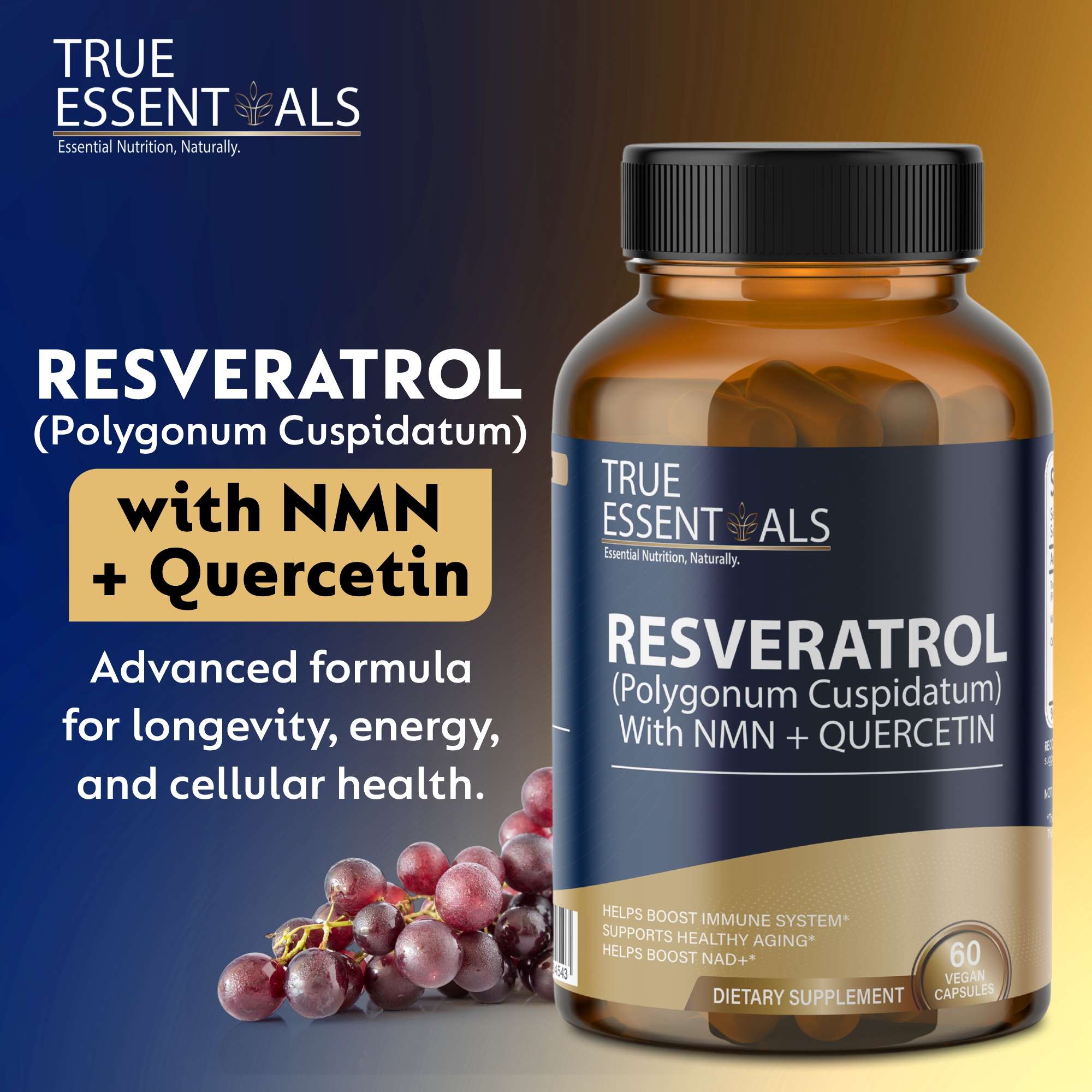 Resveratrol Supplement 1