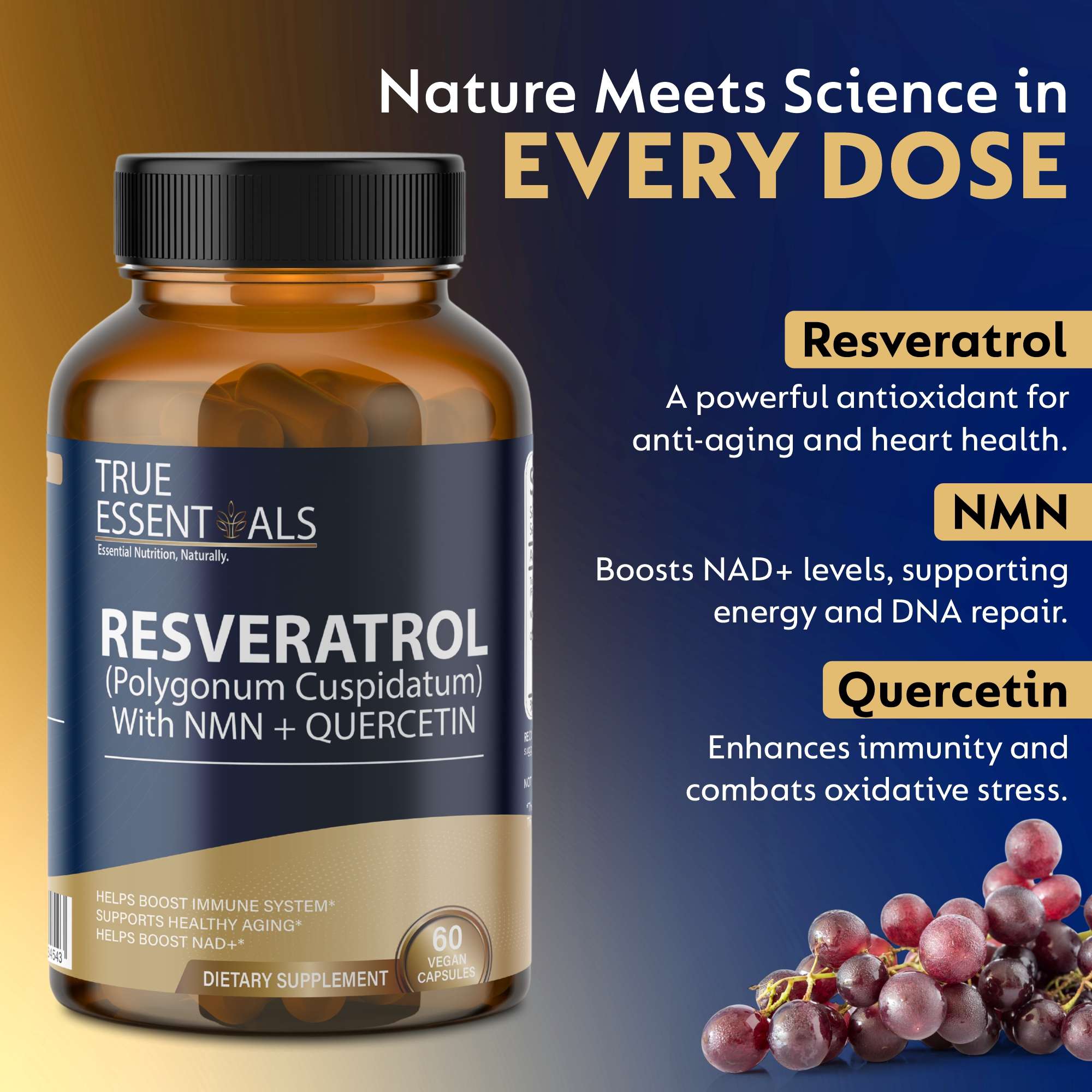 Resveratrol Supplement 2