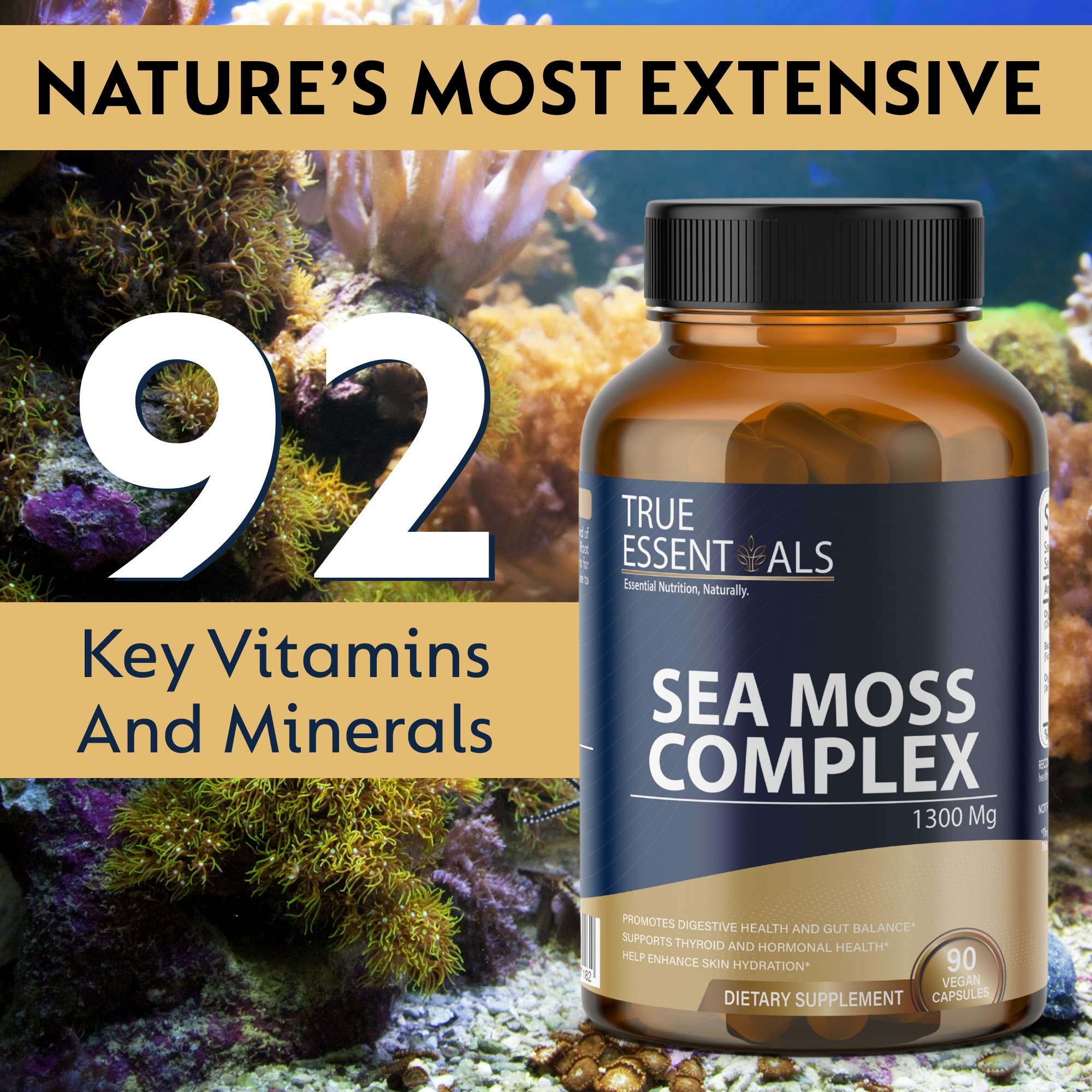 SEA MOSS COMPLAX - 4